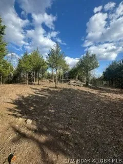 $25,000 | Little Indian Road, Roach, MO 65787