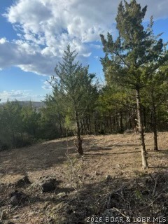 Little Indian Road Roach, MO 65787 - Photo 10 of 15