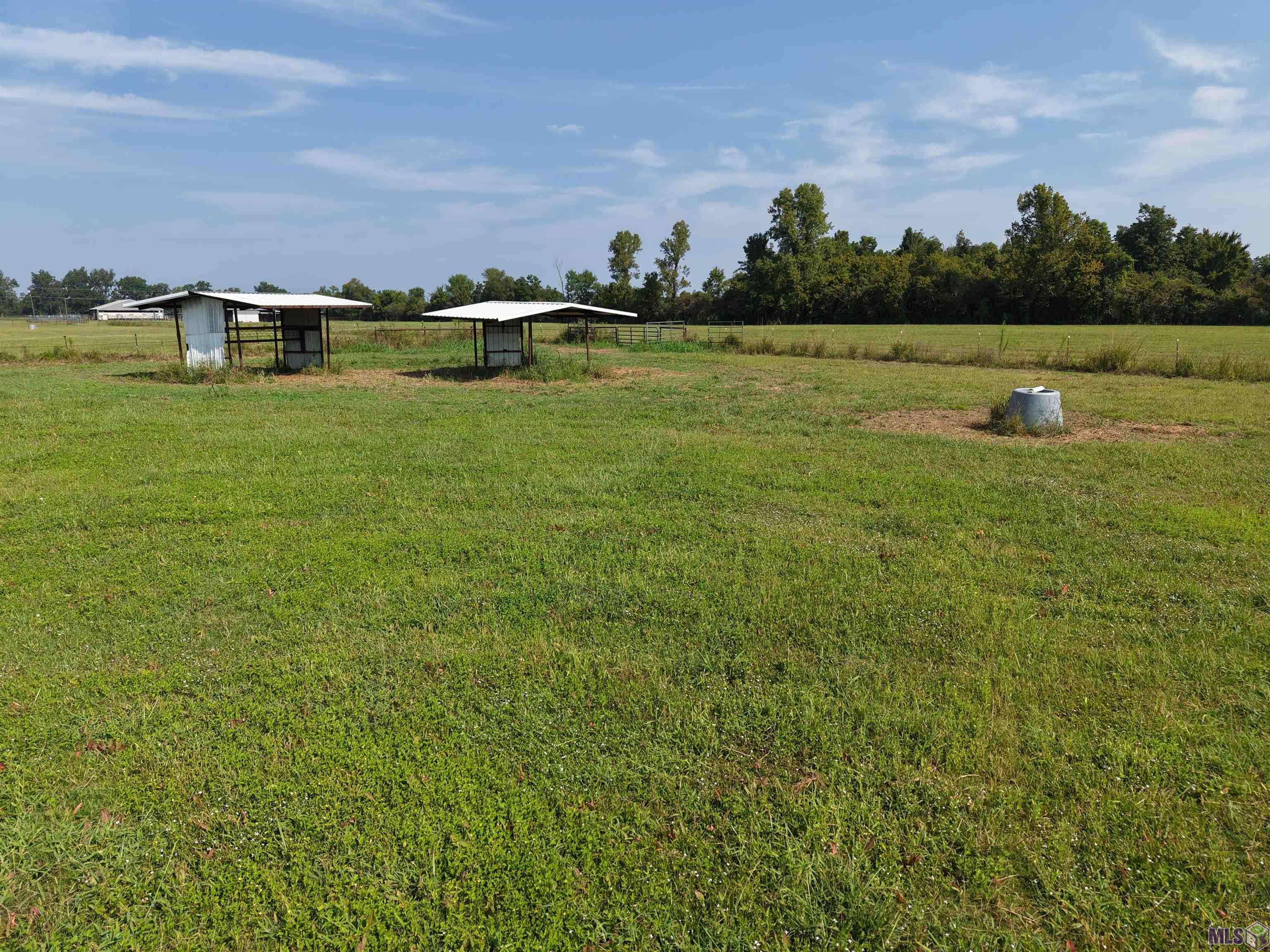 1435 Palmer Road Pineville, LA 71360 - Photo 34 of 59