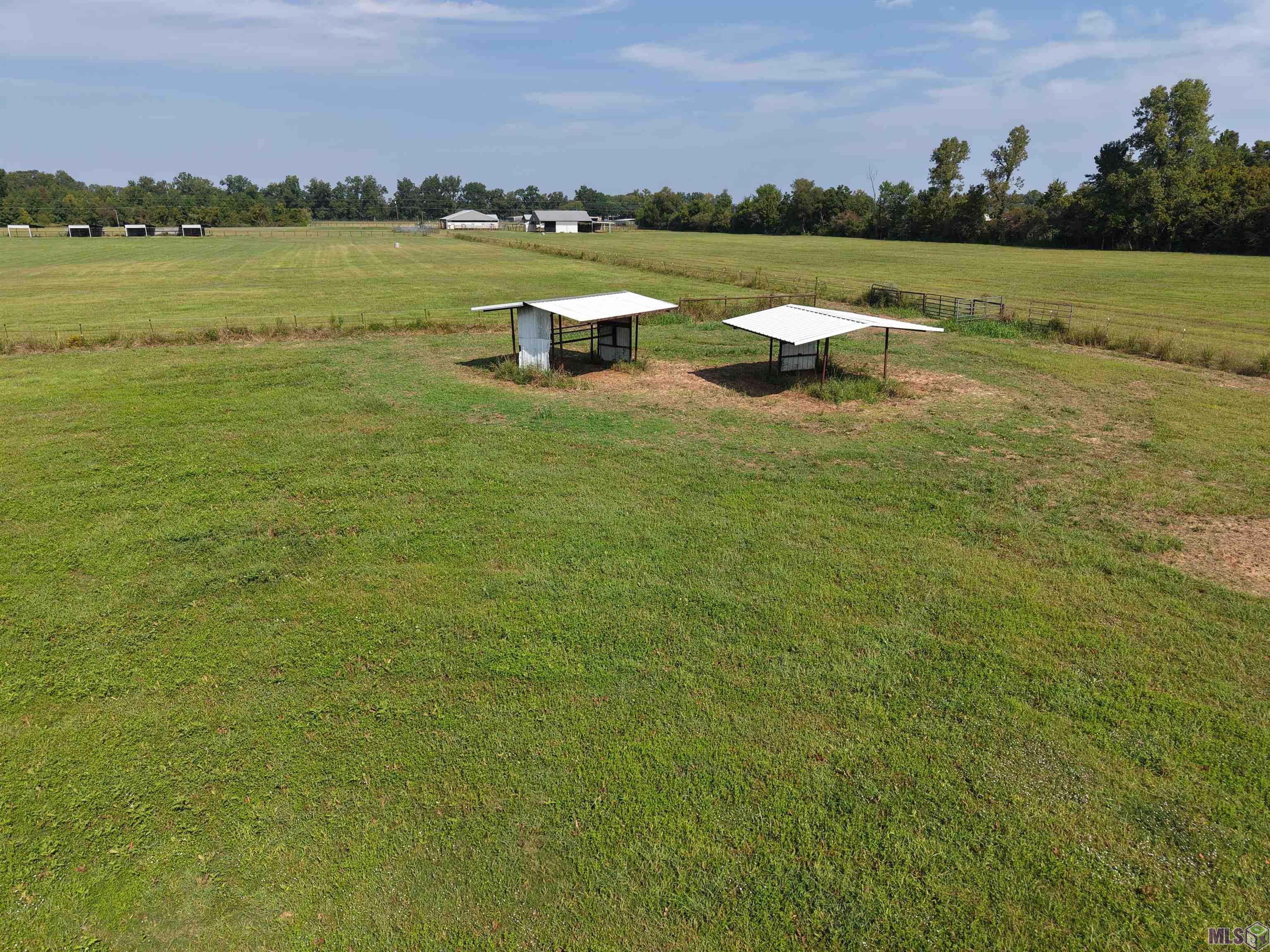 1435 Palmer Road Pineville, LA 71360 - Photo 35 of 59