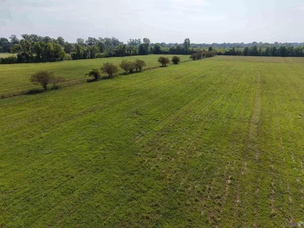 $650,000 | 1435 Palmer Road, Pineville, LA 71360
