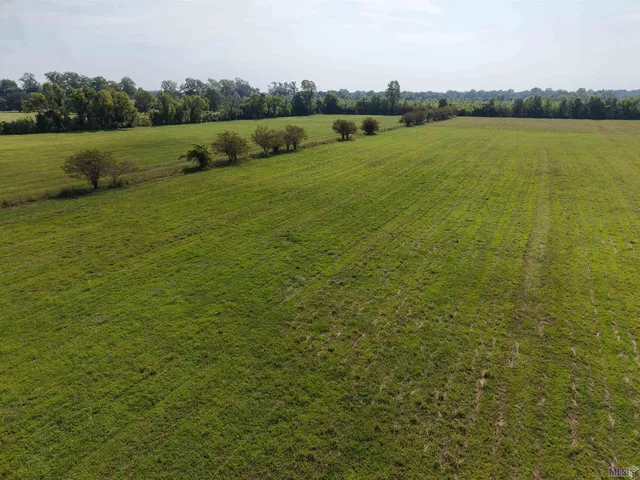 $650,000 | 1435 Palmer Road, Pineville, LA 71360