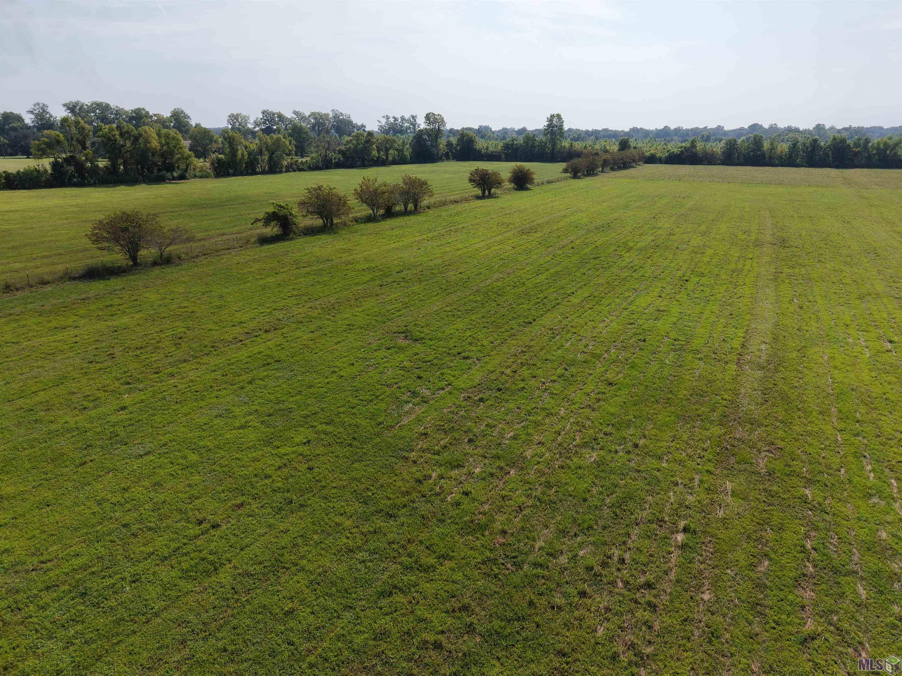 1435 Palmer Road Pineville, LA 71360 - Photo 37 of 59