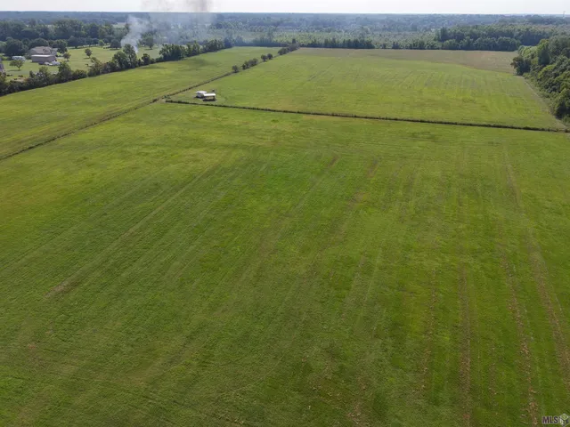 $650,000 | 1435 Palmer Road, Pineville, LA 71360