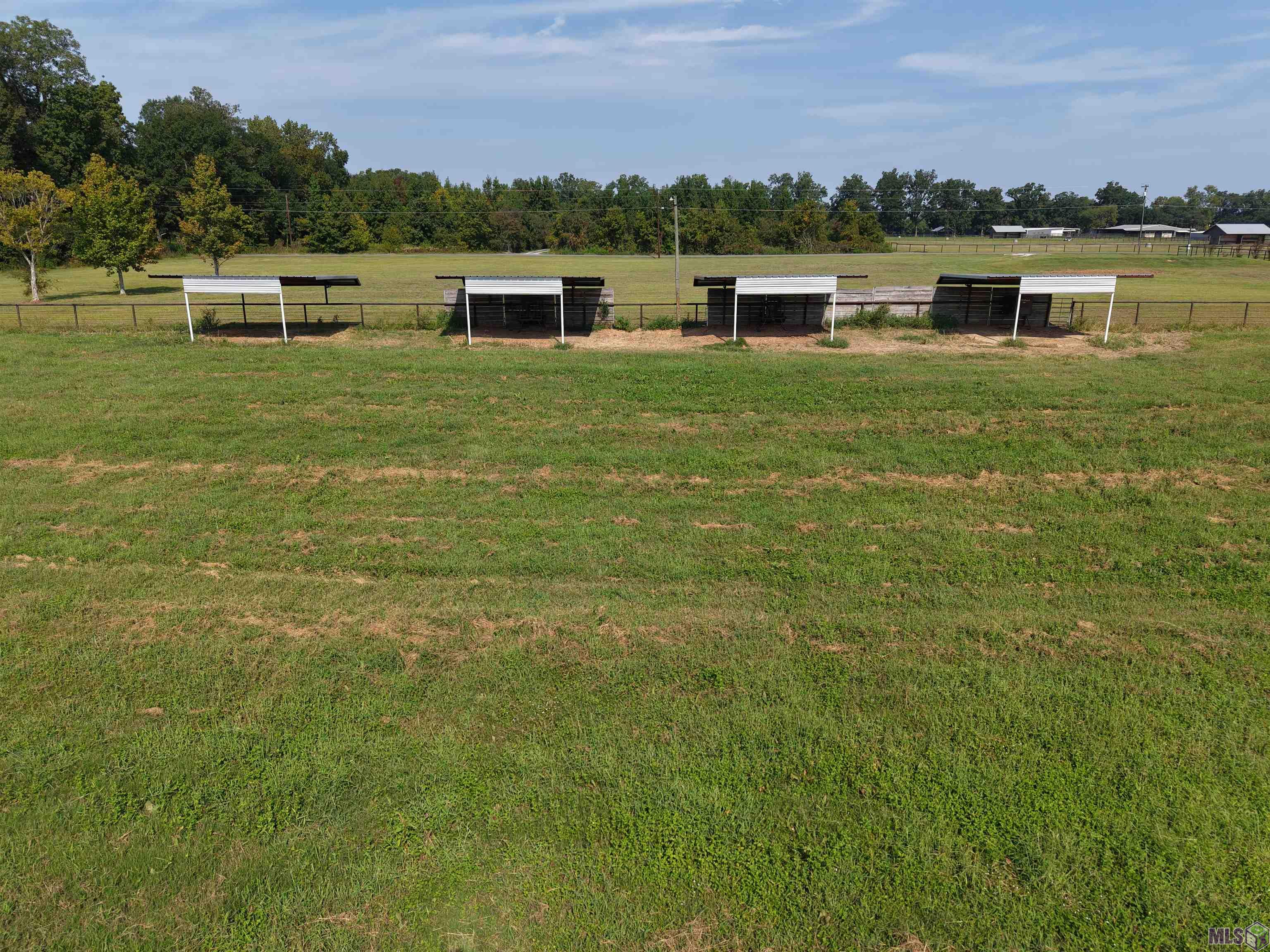 1435 Palmer Road Pineville, LA 71360 - Photo 45 of 59