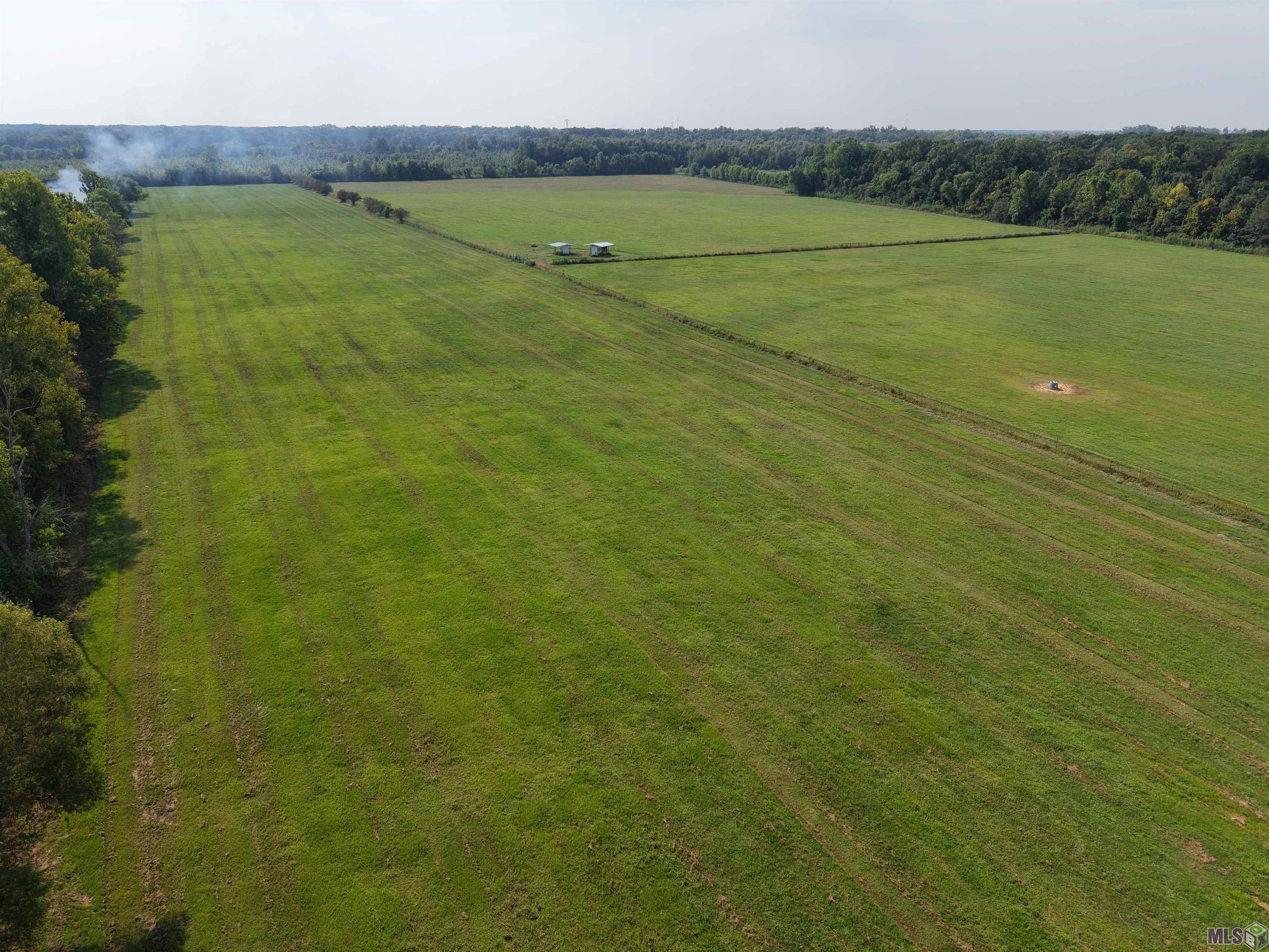 1435 Palmer Road Pineville, LA 71360 - Photo 49 of 59