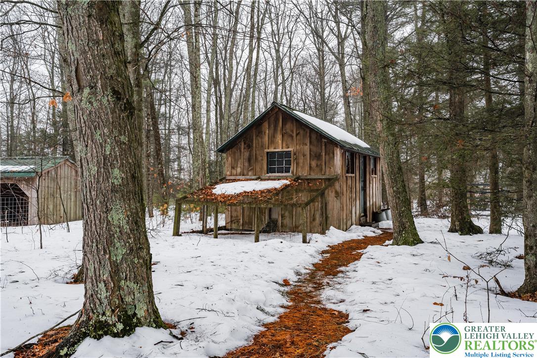216 Merwinsburg Road Effort, PA 18330 - Photo 46 of 50 a view of a covered with snow in the house