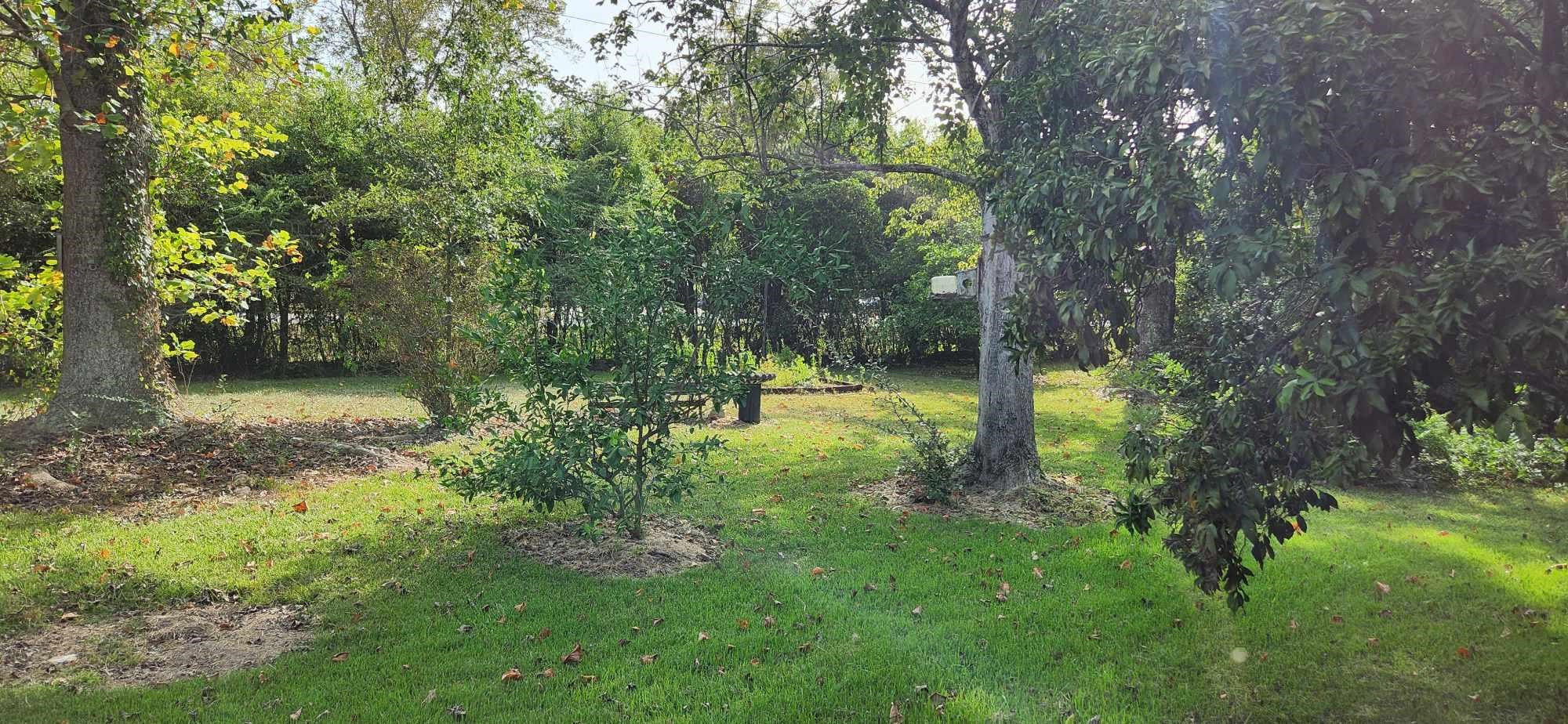 10145 County Road 64 Daphne, AL 36526 - Photo 2 of 21
