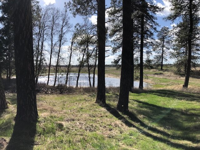 Nka South Graham Road Cheney, WA 99004 - Photo 1 of 16