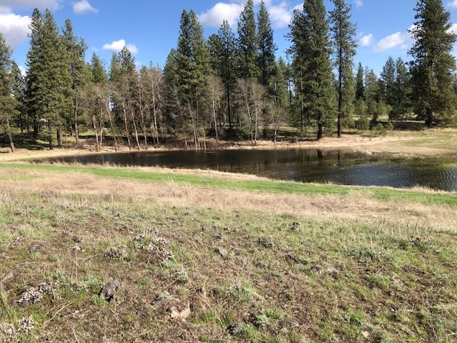 Nka South Graham Road Cheney, WA 99004 - Photo 11 of 16