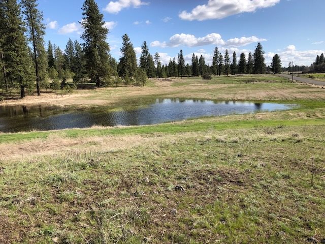 Nka South Graham Road Cheney, WA 99004 - Photo 12 of 16
