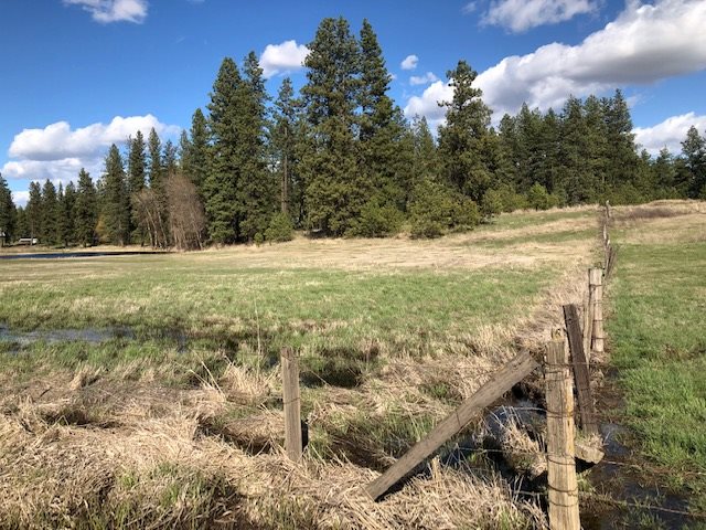 Nka South Graham Road Cheney, WA 99004 - Photo 15 of 16