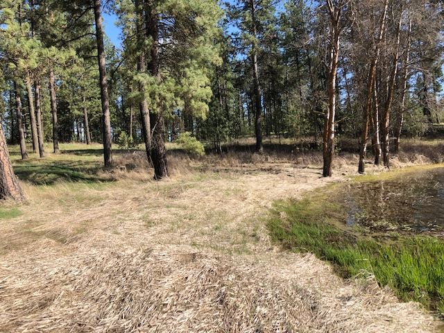 Nka South Graham Road Cheney, WA 99004 - Photo 3 of 16