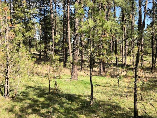 Nka South Graham Road Cheney, WA 99004 - Photo 6 of 16