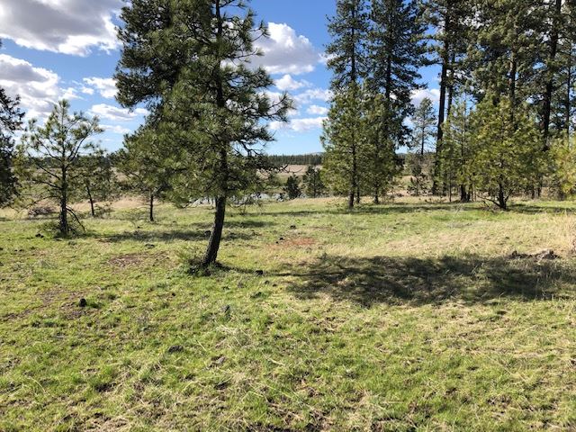 Nka South Graham Road Cheney, WA 99004 - Photo 8 of 16
