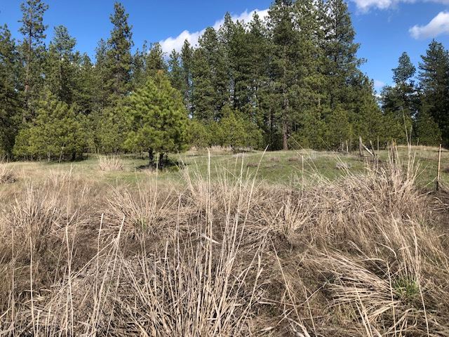 Nka South Graham Road Cheney, WA 99004 - Photo 9 of 16