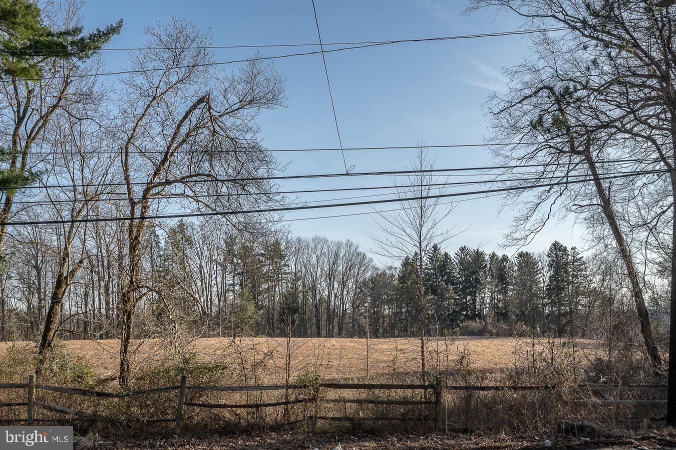 309 Church Road Devon, PA 19333 - Photo 48 of 48 Front exterior view -open space