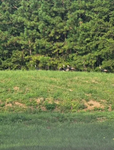 $870,000 | 332 Harris Road, Old Fort, TN 37362