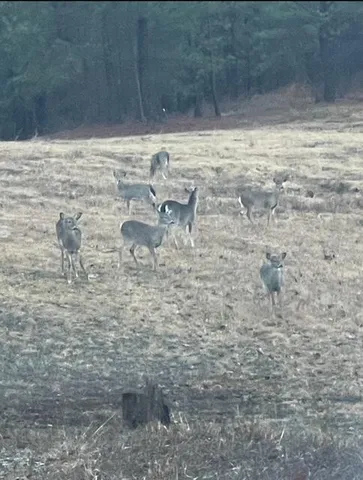 $870,000 | 332 Harris Road, Old Fort, TN 37362