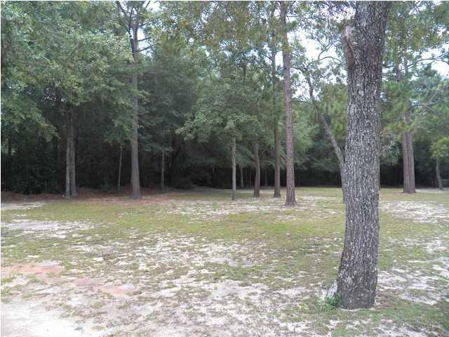 0 Barnhill Road Crestview, FL 32539 - Photo 1 of 4 a view of a trees in a yard with a tree