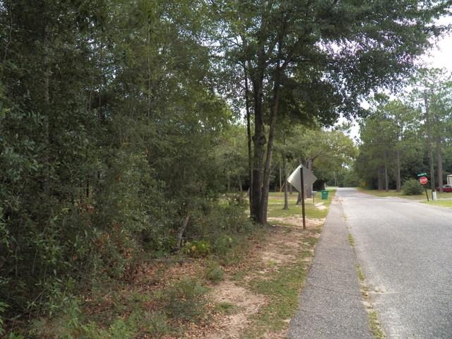 0 Barnhill Road Crestview, FL 32539 - Photo 4 of 4 a view of a park with swings and slides