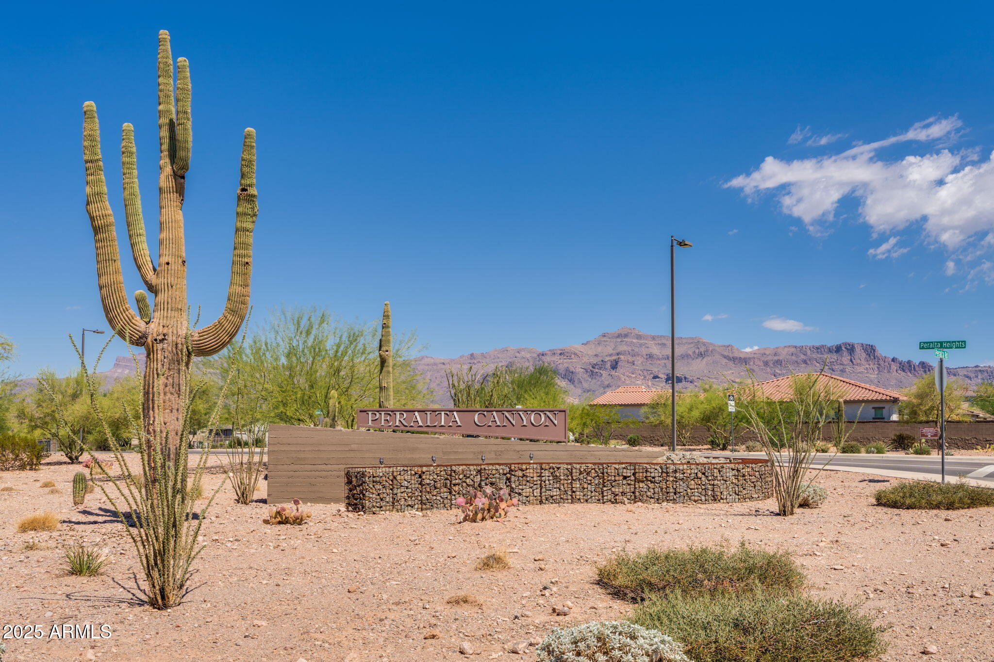 12404 East Soloman Road Gold Canyon, AZ 85118 - Photo 40 of 47 a view of a yard with a tree in the background