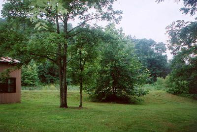 381 Rayborn Hill Road Liberty, KY 42539 - Photo 7 of 8 Photo 7