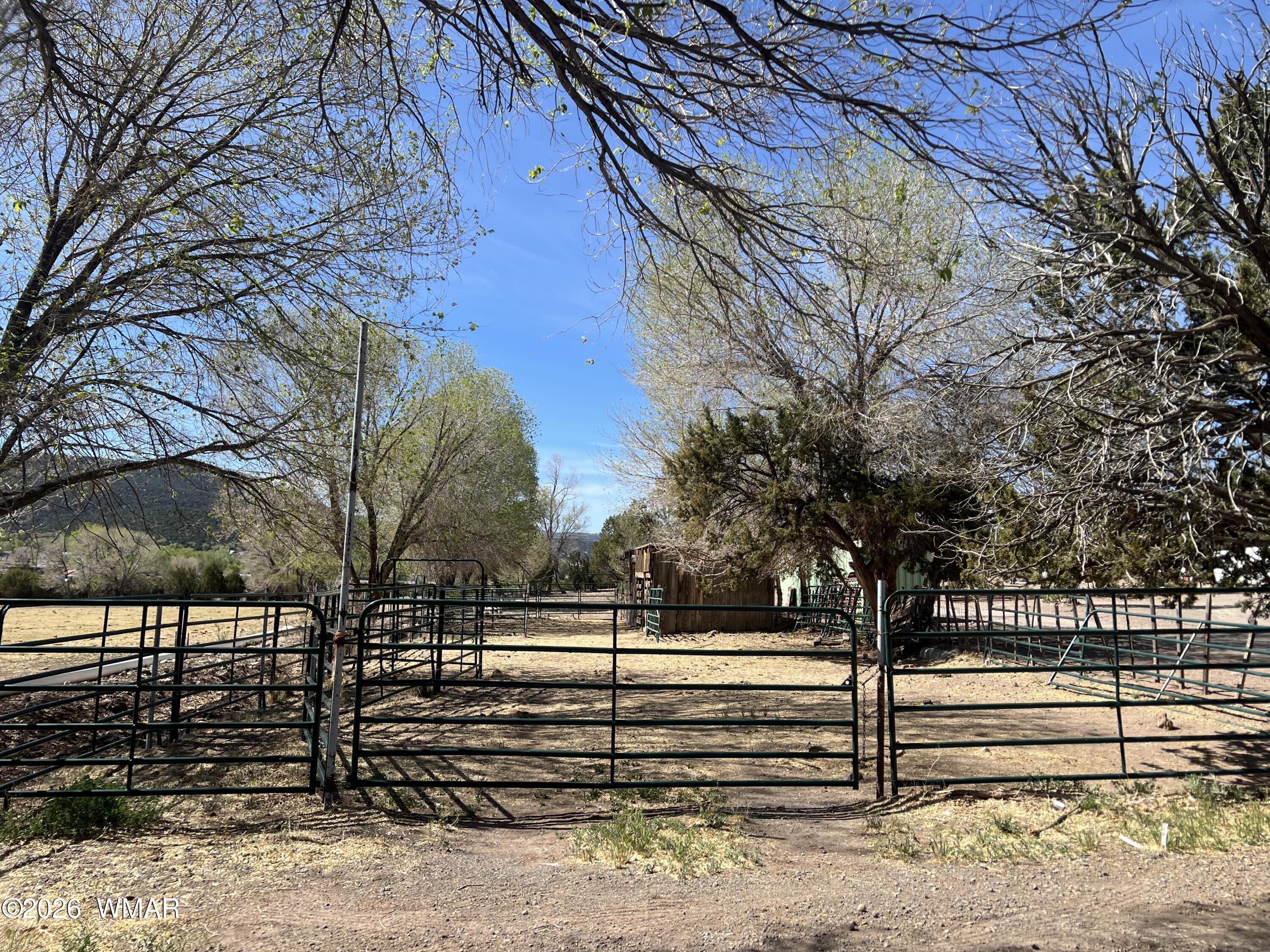 Tbd South Voigt Street Springerville, AZ 85938 - Photo 1 of 3 IMG_1335
