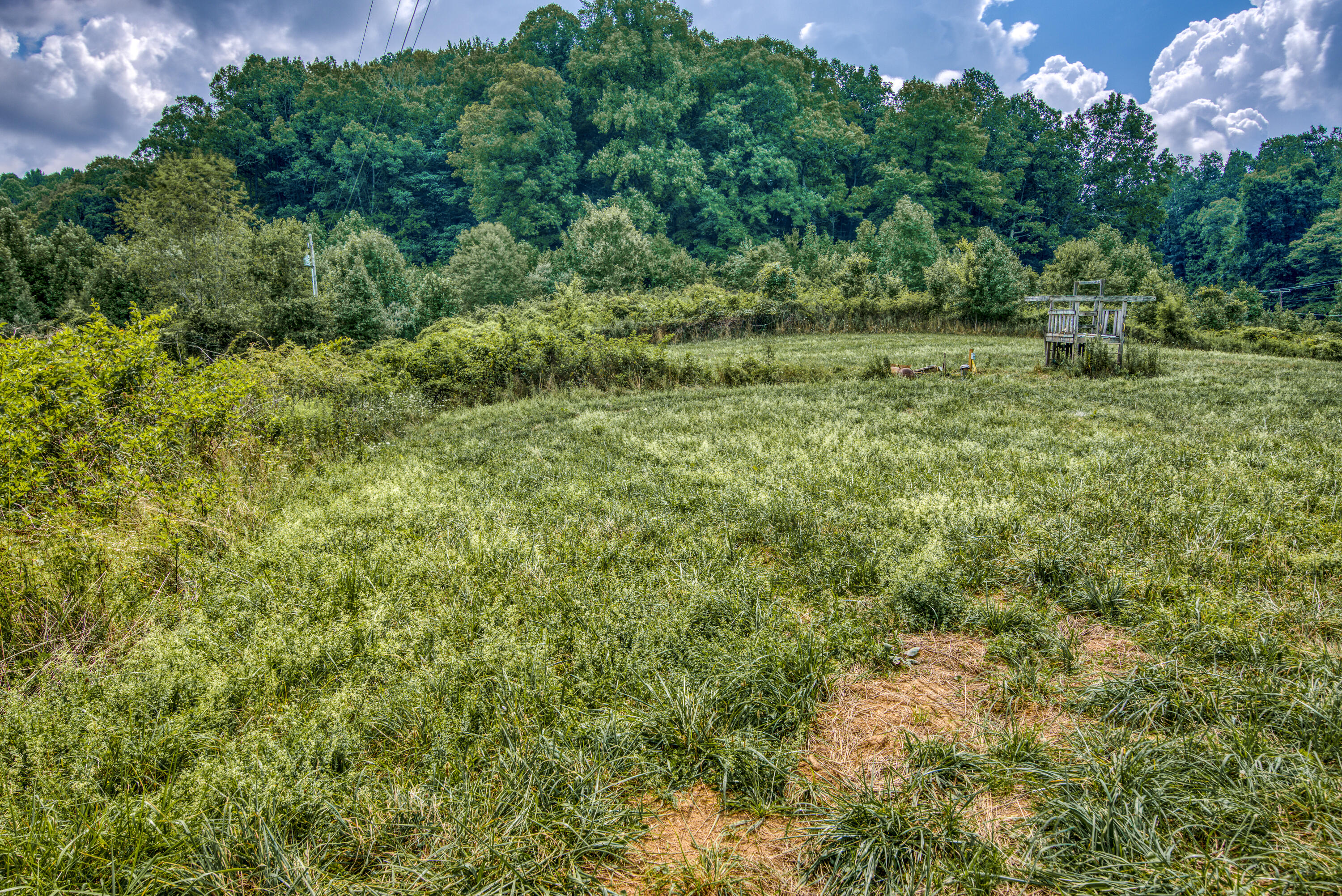 28318 Robindale Road Meadowview, VA 24361 - Photo 11 of 70 12E32937-F8CE-400F-A58B-C09E0D1DAF45