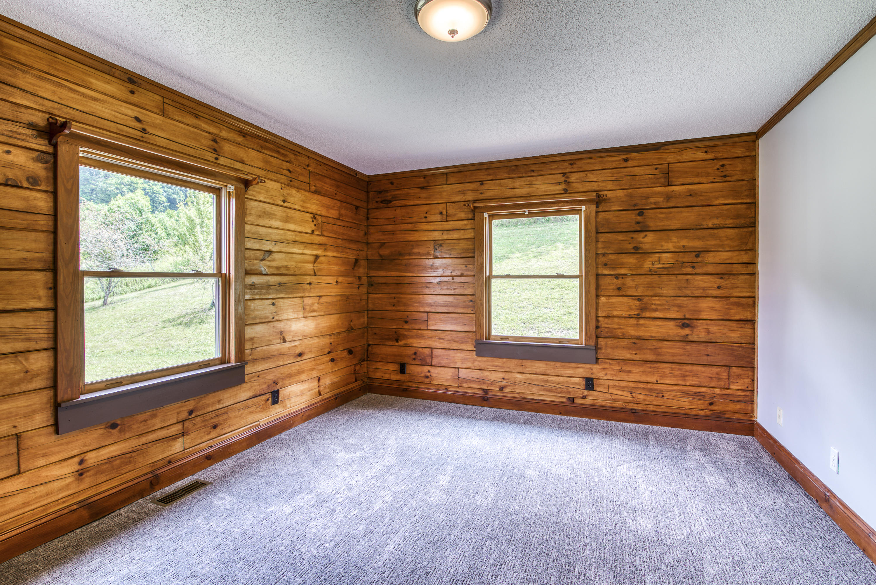 28318 Robindale Road Meadowview, VA 24361 - Photo 41 of 70 bdem 3