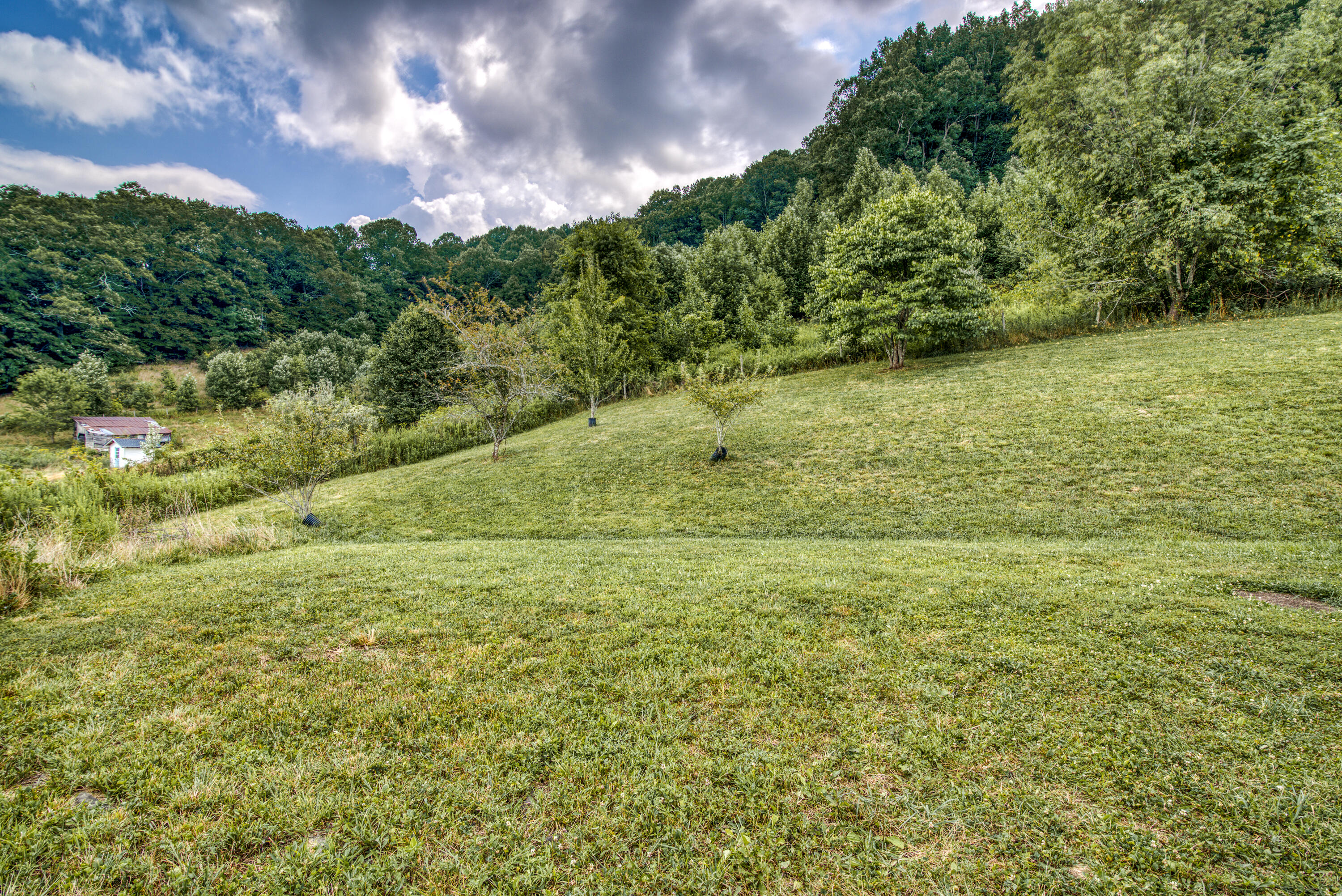 28318 Robindale Road Meadowview, VA 24361 - Photo 5 of 70 fenced pastures