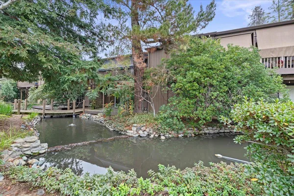 a view of a pathway with potted plants and large trees