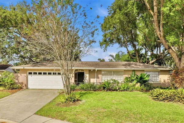 a view of a house with a yard and a tree