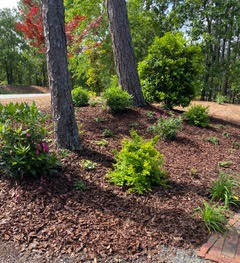 186 Jamestown Drive Rincon, GA 31326 - Photo 29 of 30 unnamed