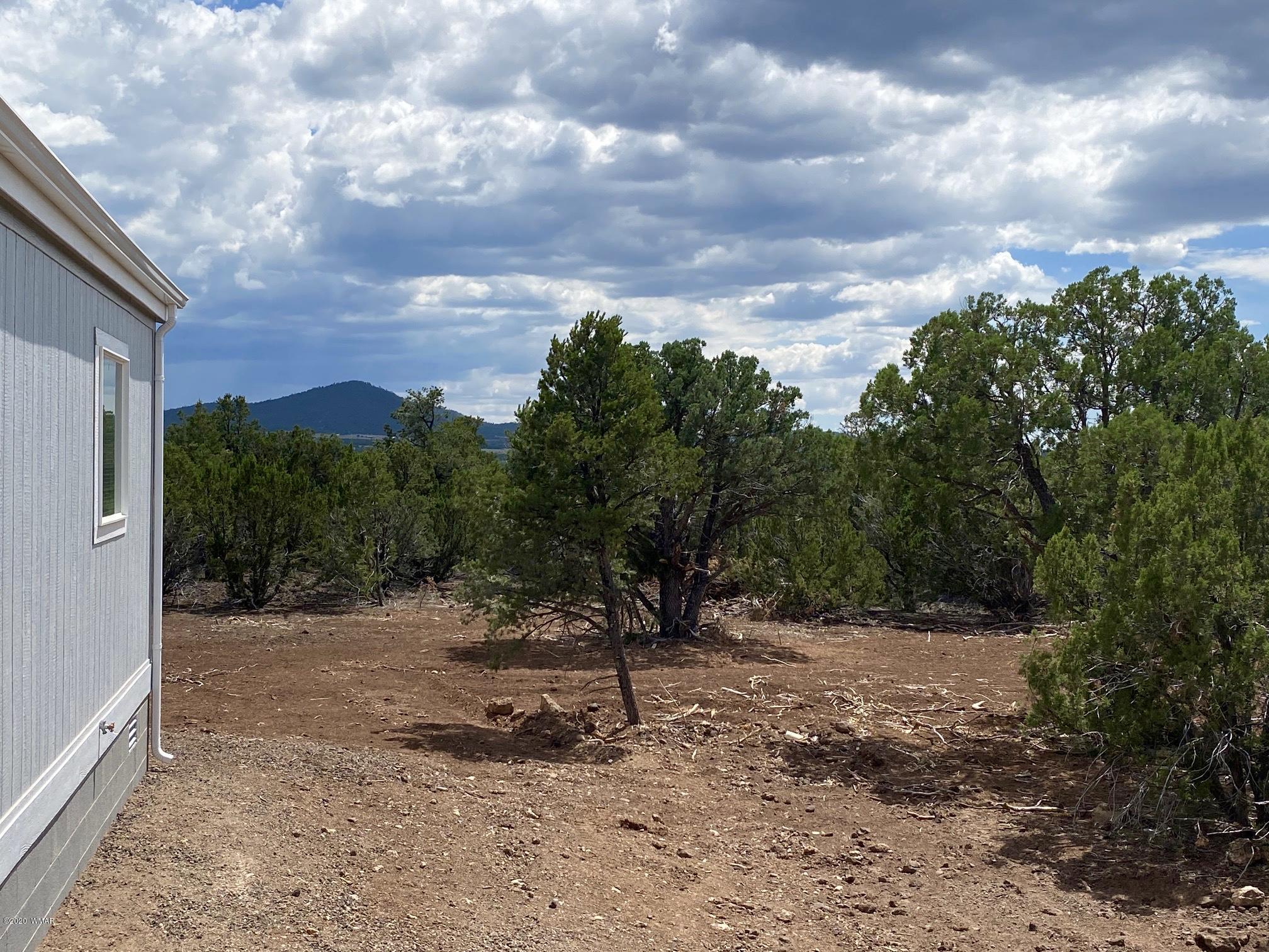 30 Co Road Vernon, AZ 85940 - Photo 35 of 41