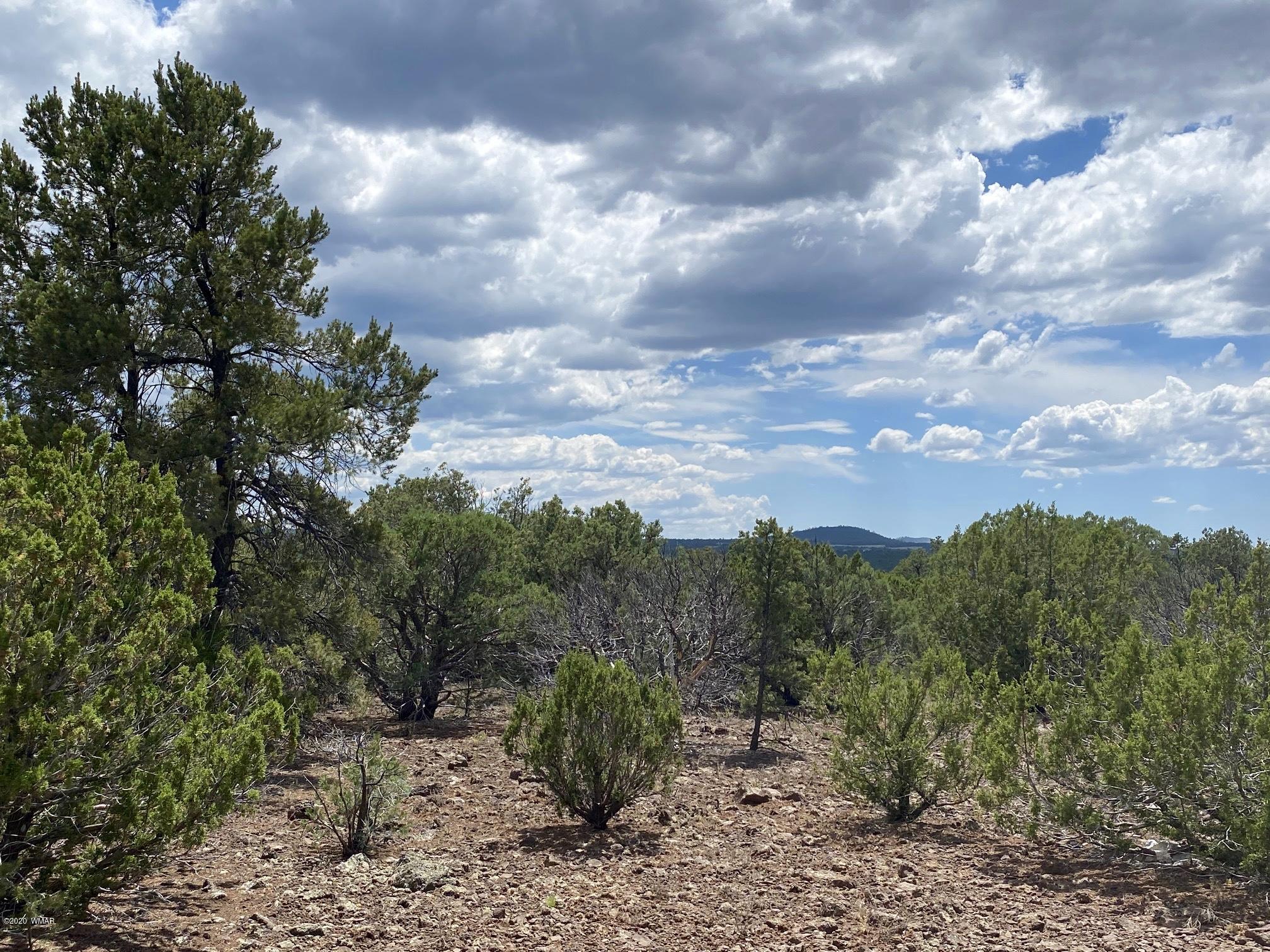 30 Co Road Vernon, AZ 85940 - Photo 39 of 41