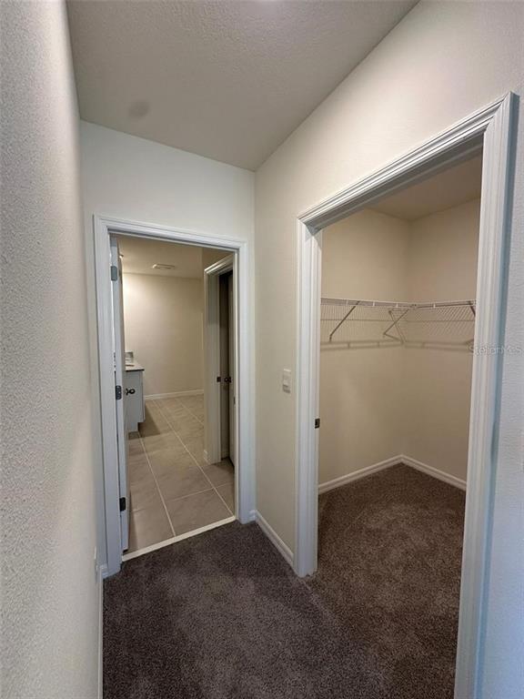 3767 Paragon Lane Clermont, FL 34714 - Photo 7 of 19