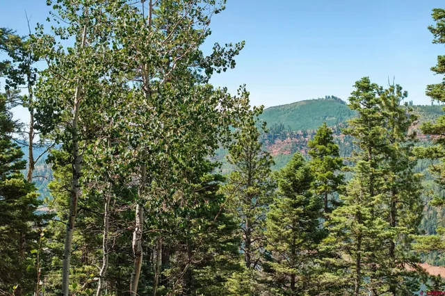 a view of a green field
