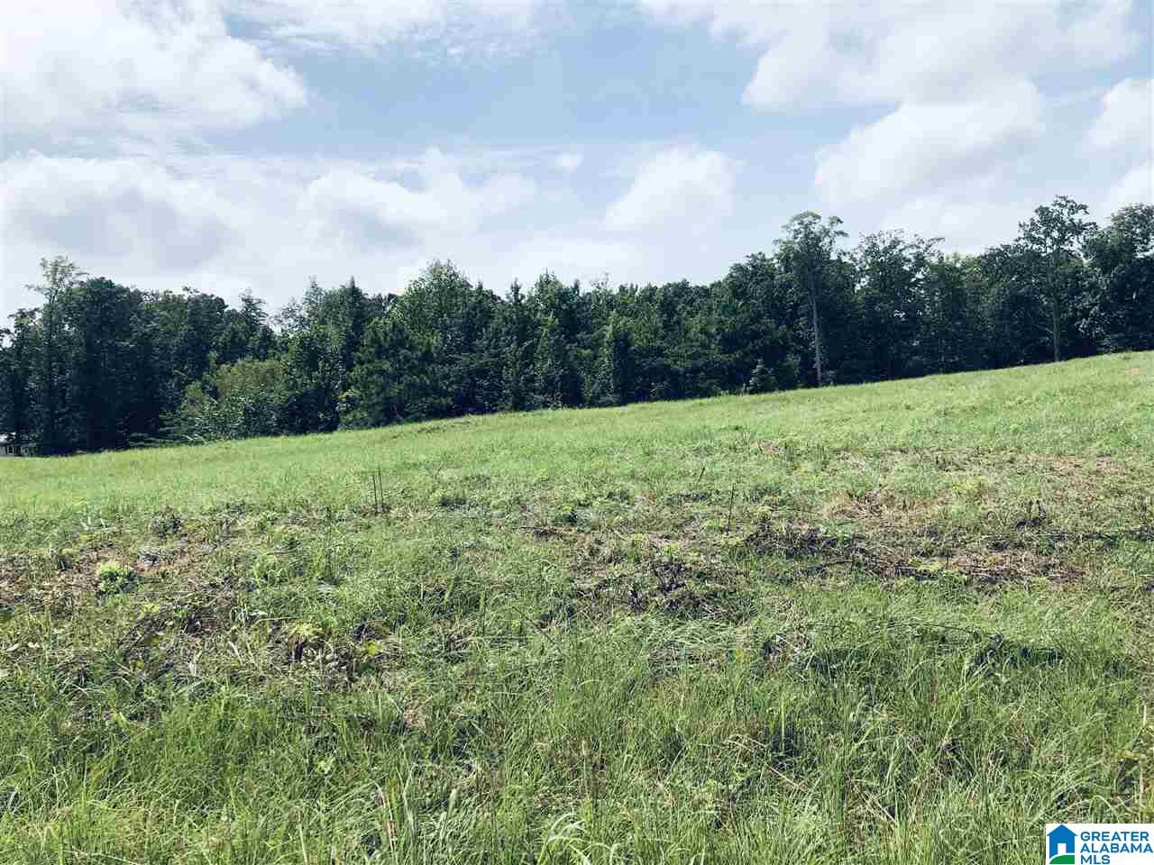 0 Rose Lane, Unit 1 2 Montevallo, AL 35115 - Photo 3 of 14
