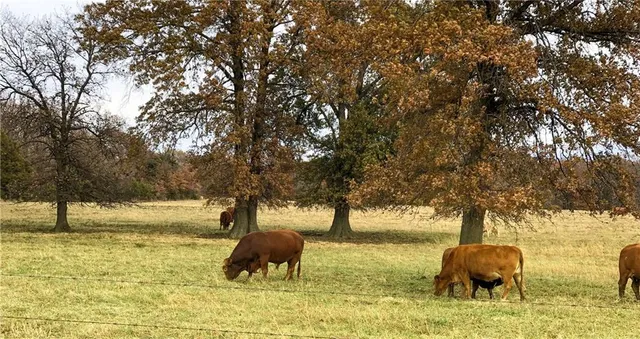 $4,490,000 | 731 Northwest 35th Lane, Lamar, MO 64759