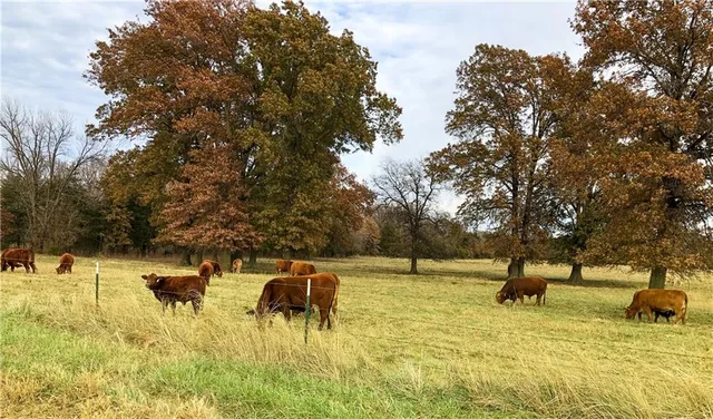 $4,490,000 | 731 Northwest 35th Lane, Lamar, MO 64759