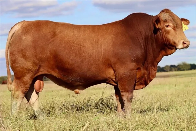 $4,490,000 | 731 Northwest 35th Lane, Lamar, MO 64759