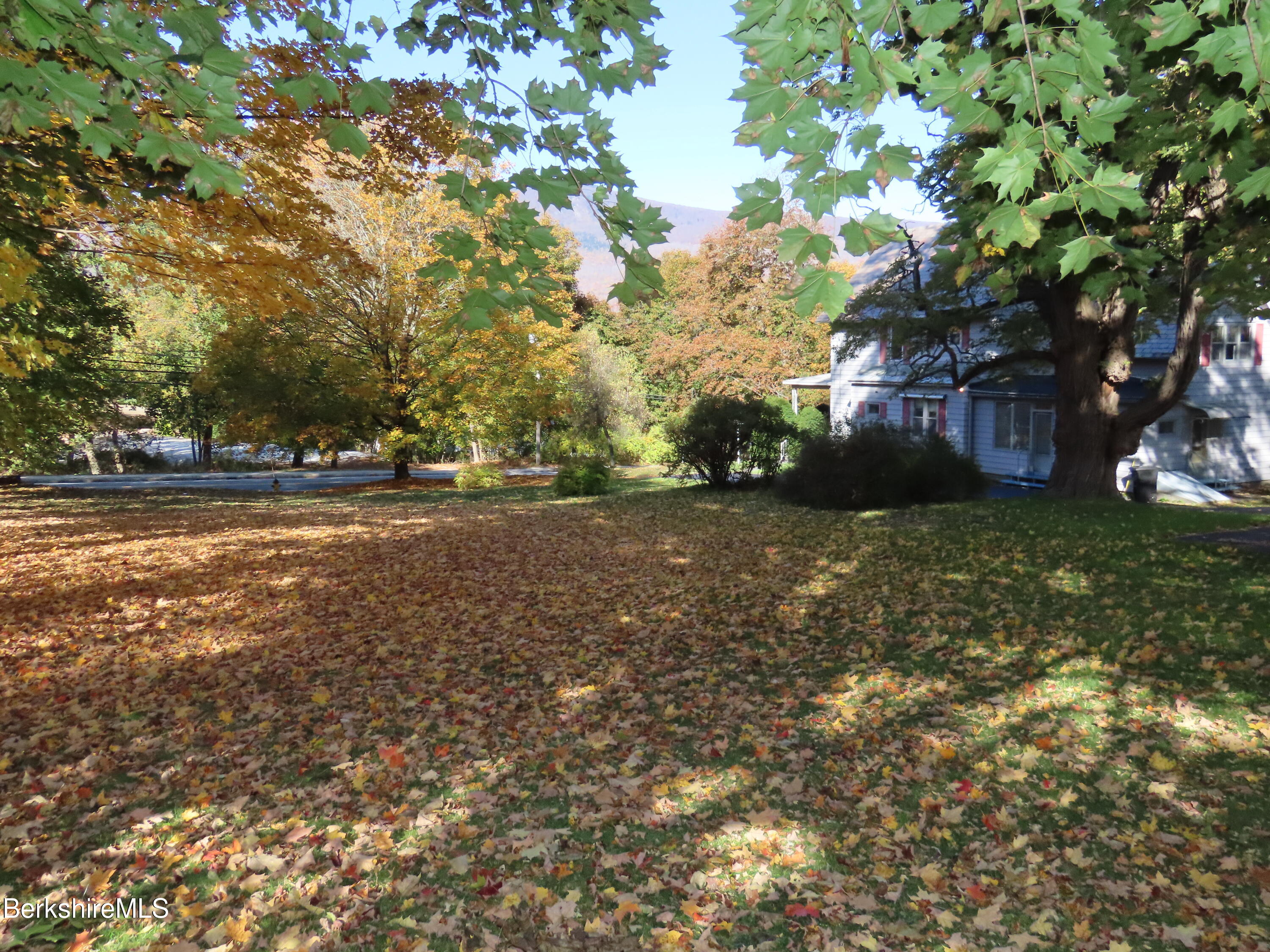 72 Orchard Street Adams, MA 01220 - Photo 51 of 60 a view of a yard with a tree
