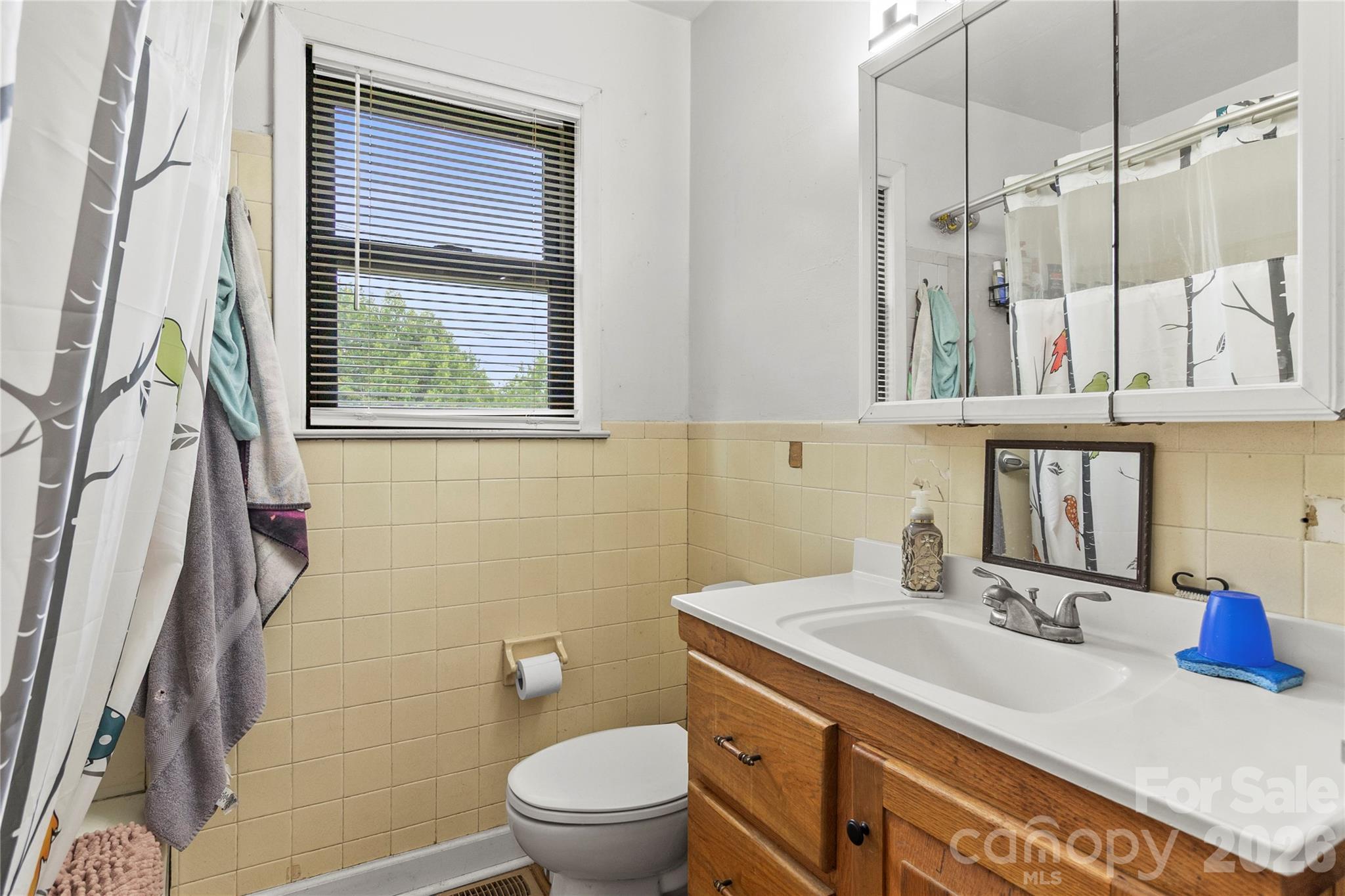 325 Swanson Road Lenoir, NC 28645 - Photo 17 of 35 a bathroom with a sink a mirror a toilet and shower