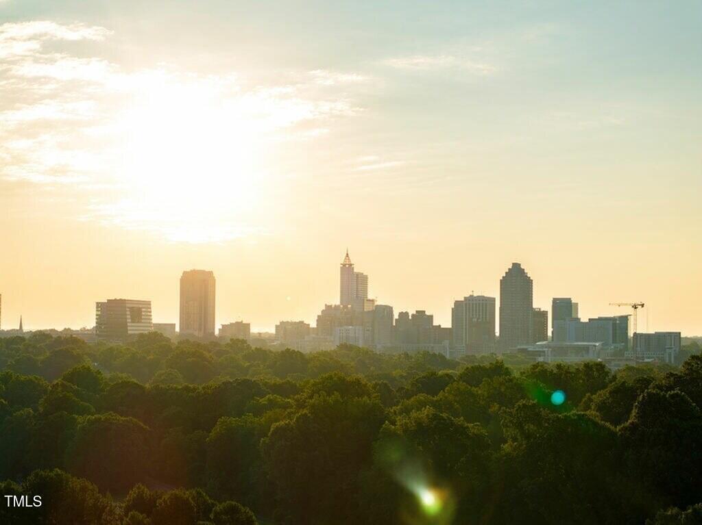 821 Hanbury Way, Unit A1 Raleigh, NC 27607 - Photo 40 of 43 a view of a city