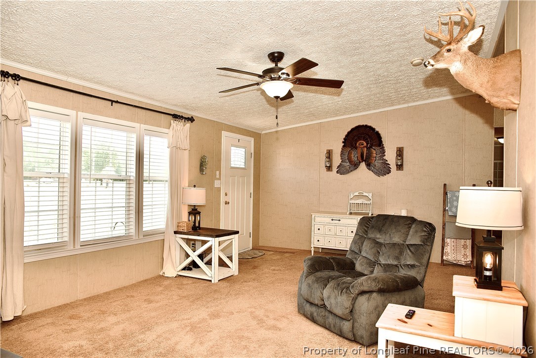 1071 Watts Road Lumberton, NC 28360 - Photo 11 of 31 a living room with furniture and a large window