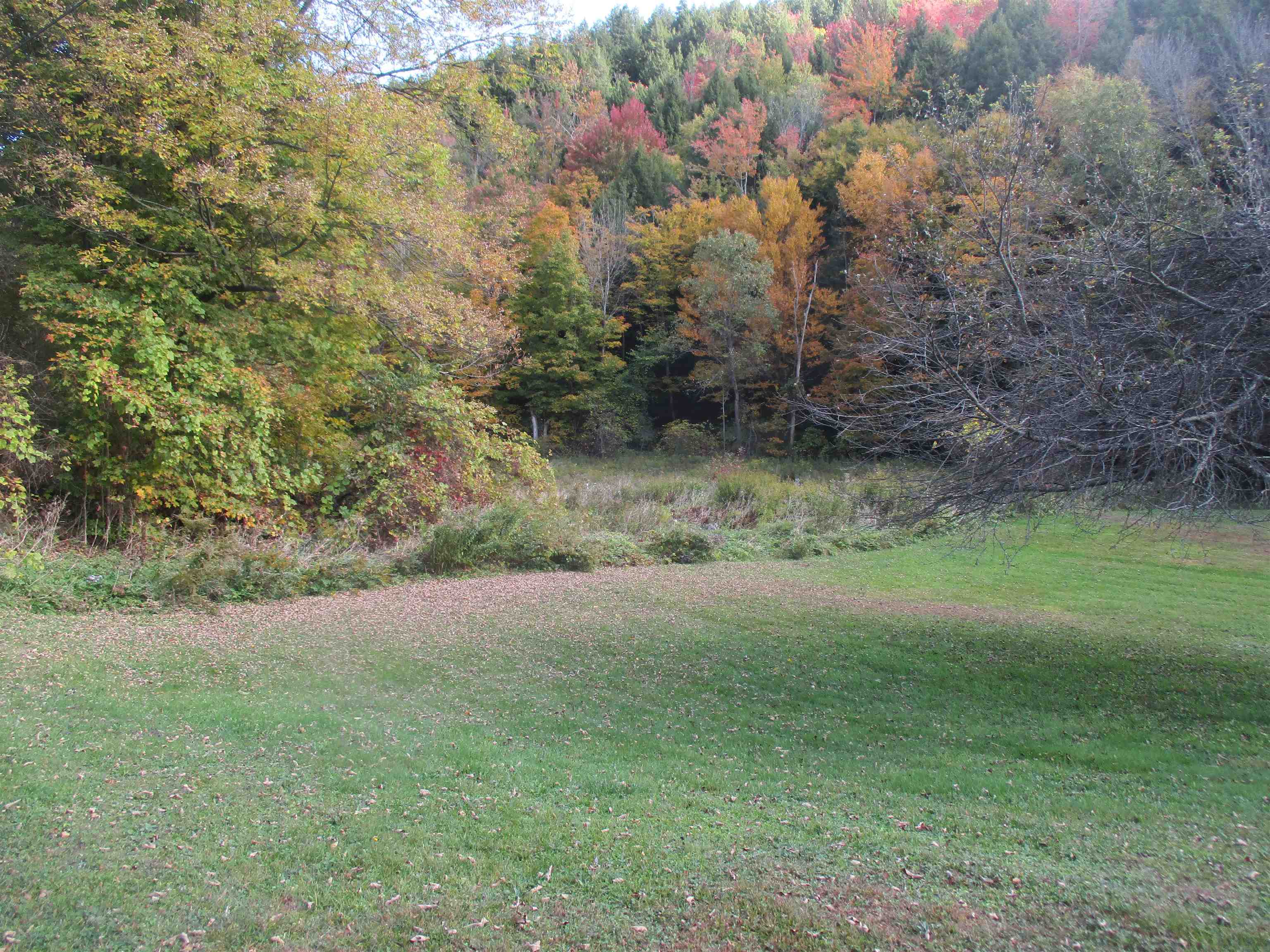 3495 Camp Brook Road Bethel, VT 05032 - Photo 3 of 48