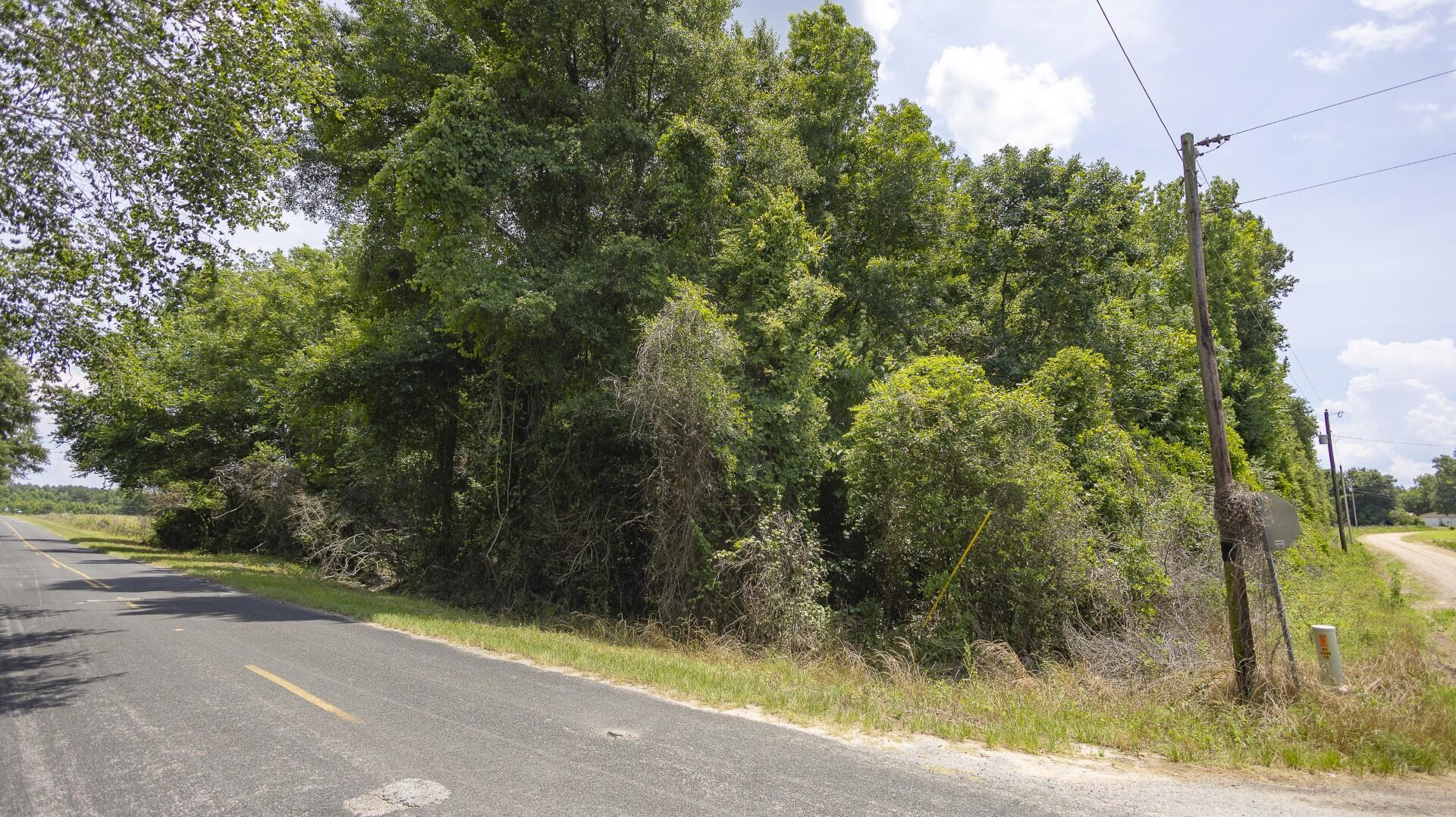 2 Joseph Lemon And Dingle Road Manning, SC 29102 - Photo 9 of 44