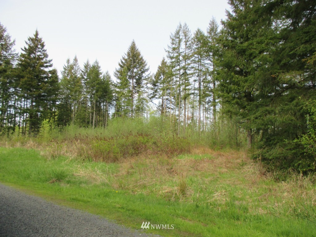-xxx Gish Road Chehalis, WA 98532 - Photo 2 of 3