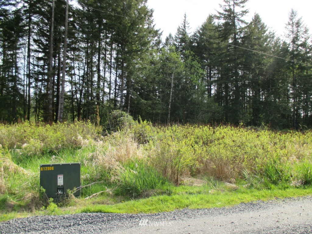 -xxx Gish Road Chehalis, WA 98532 - Photo 3 of 3
